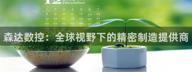 天辰娱乐新：森达数控：全球视野下的精密制造提供商