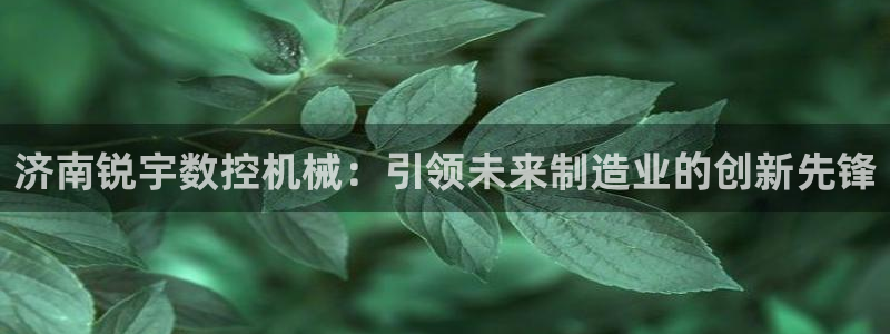 天辰娱乐上级