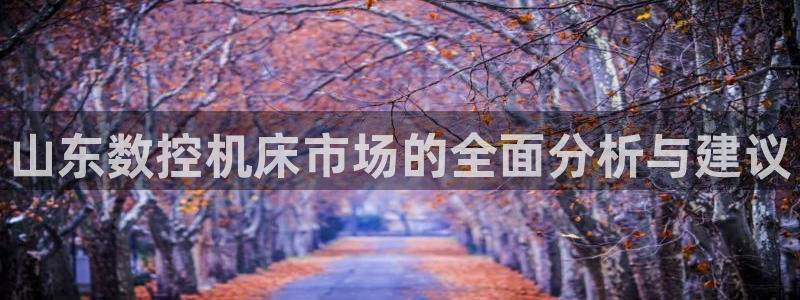 天辰娱乐44516：山东数控机床市场的全面分析与建议