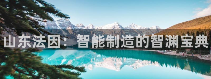 天辰娱乐台湾：山东法因：智能制造的智渊宝典