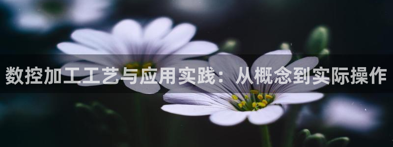 天辰 娱乐
