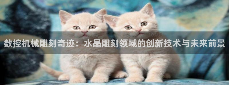 天辰娱乐tff：数控机械雕刻奇迹：水晶雕刻领域的创新技术与未来前景